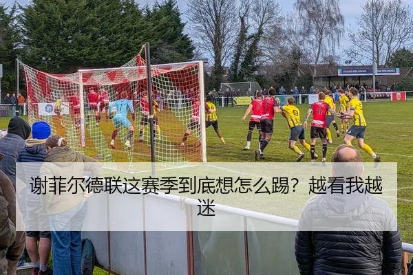 谢菲尔德联这赛季到底想怎么踢？越看我越迷