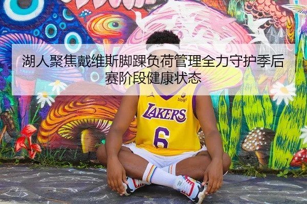 湖人聚焦戴维斯脚踝负荷管理全力守护季后赛阶段健康状态