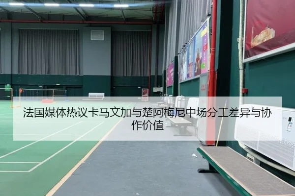 法国媒体热议卡马文加与楚阿梅尼中场分工差异与协作价值